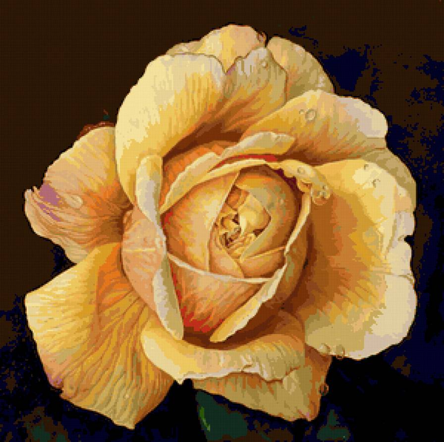 Серия "Букет" - цветы, роза - предпросмотр