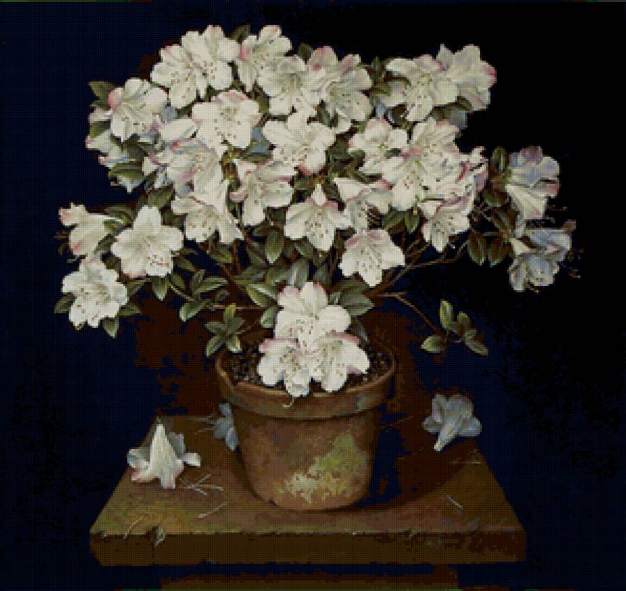 Серия "Букет" - букет, азалии, цветы - предпросмотр