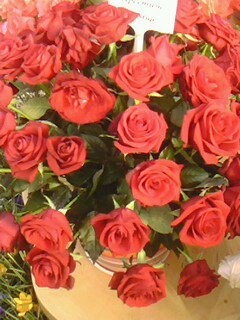 розы - розы - оригинал