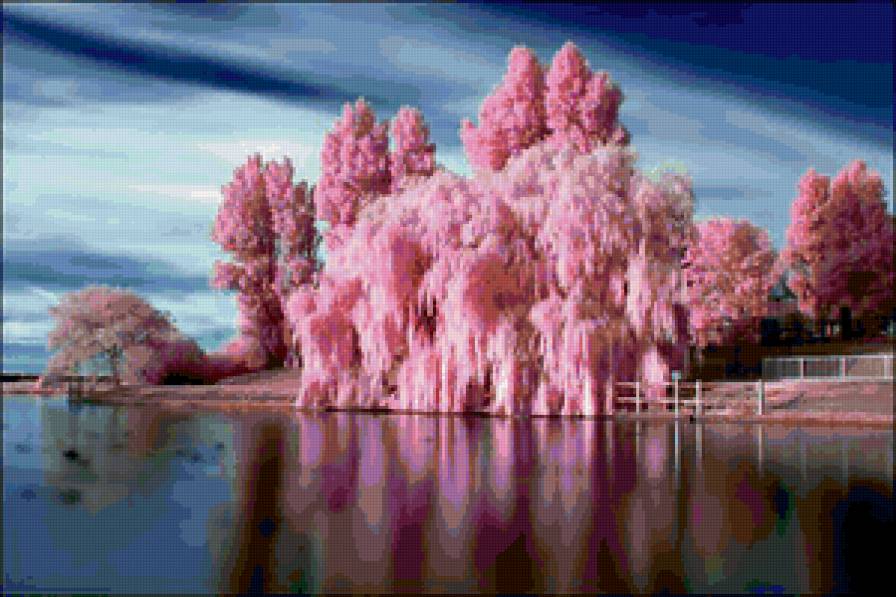 розовый берег - пейзаж, вода, природа, берег, река - предпросмотр