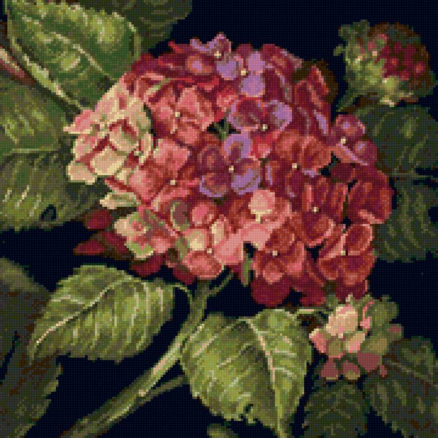 миниатюра гортензия - цветы - предпросмотр