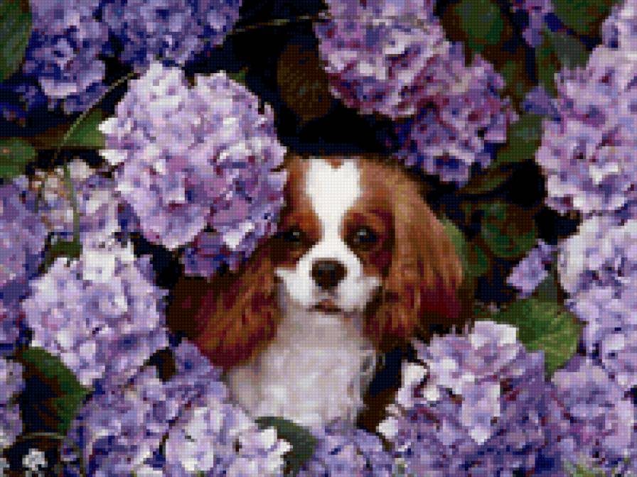 Собачка в цветах - цветы, собака, животные - предпросмотр