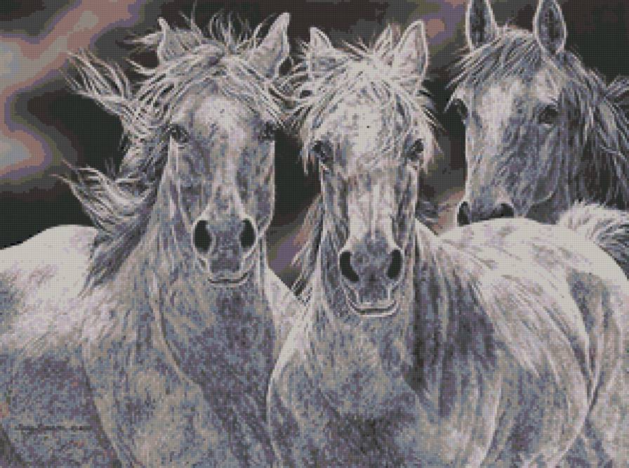 лошади - животные, лошади, монохром - предпросмотр