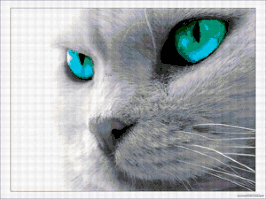 кот - кошки, животные, природа, киса, кот - предпросмотр