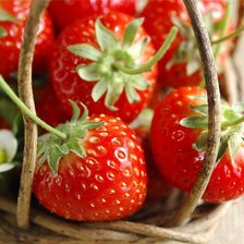 Схема вышивки «№105599»