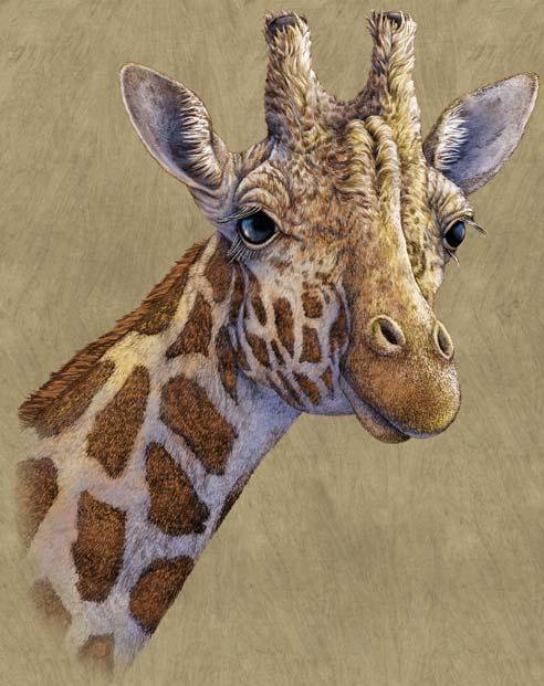 жираф - картина, животные - оригинал
