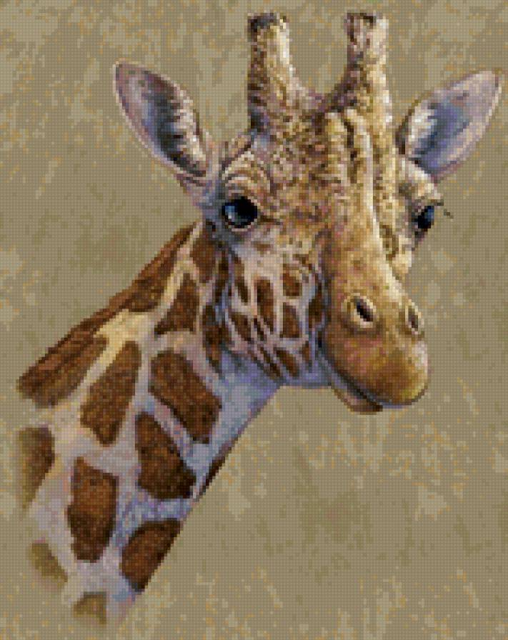 жираф - животные, картина - предпросмотр
