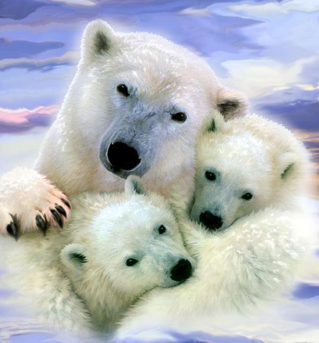 Мишки - картины, животные, медведи - оригинал