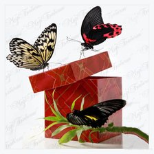 Схема вышивки «коробка с бабочками»