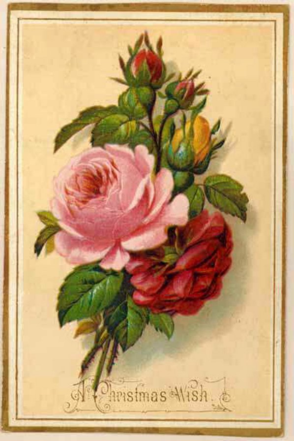 розы - ретро, винтаж, розы, цветы - оригинал