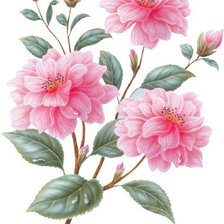 Схема вышивки «№105765»