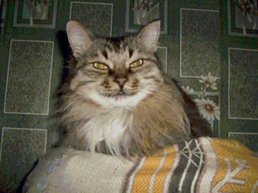 Морда лица - кошка - предпросмотр