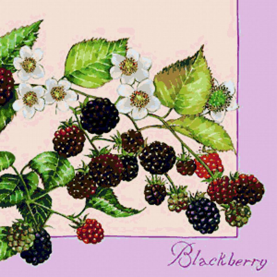 Подушка "Ежевика" - ежевика, ягодка, ягодки, ягоды, подушки, подушка - предпросмотр