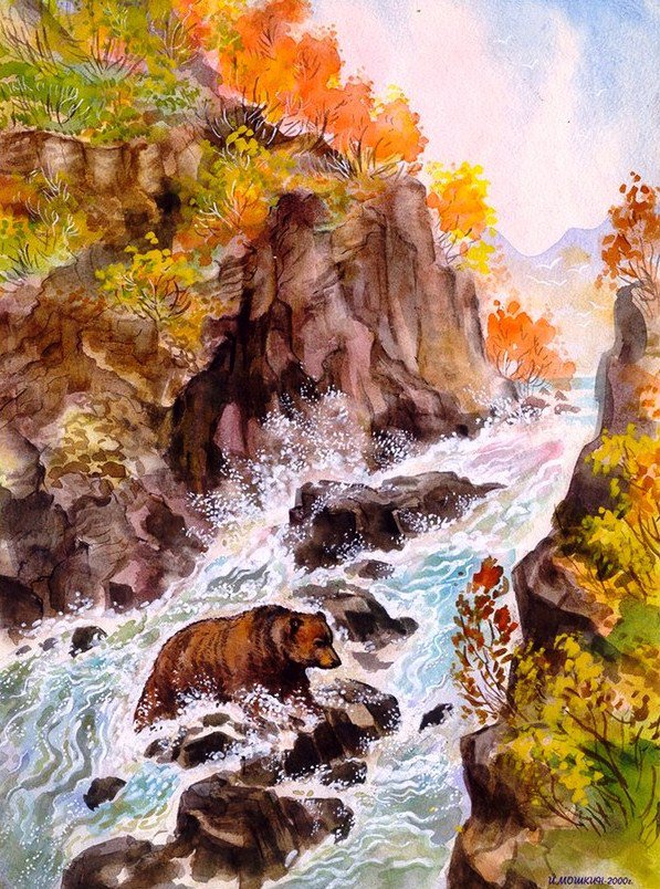 медведь на водопаде - медведи, медведь, река, деревья, водопад, природа, животные - оригинал