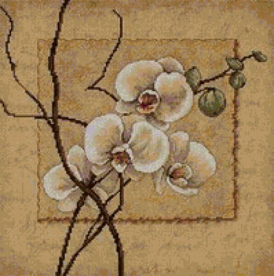 Орхидеи - букет, винтаж, цветы - предпросмотр