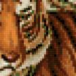 Предпросмотр схемы вышивки «тигр» (№106210)