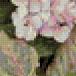 Предпросмотр схемы вышивки «Серия "Букет"» (№106263)