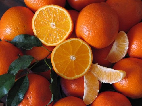Апельсины - фрукты, апельсины - оригинал