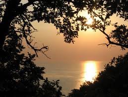 №106332 - пейзаж любовь - оригинал