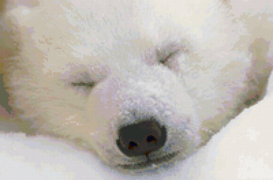 белый мишка 2 - медведи - предпросмотр