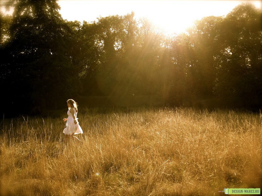 бегущая по полю - поле, девушка, природа - оригинал