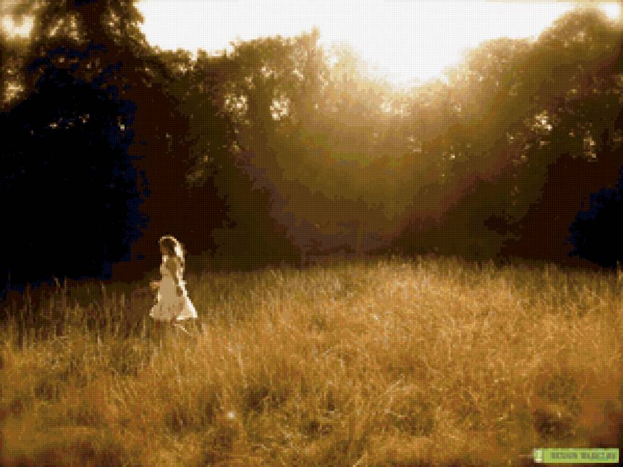 бегущая по полю - природа, девушка, поле - предпросмотр