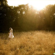 Схема вышивки «бегущая по полю»