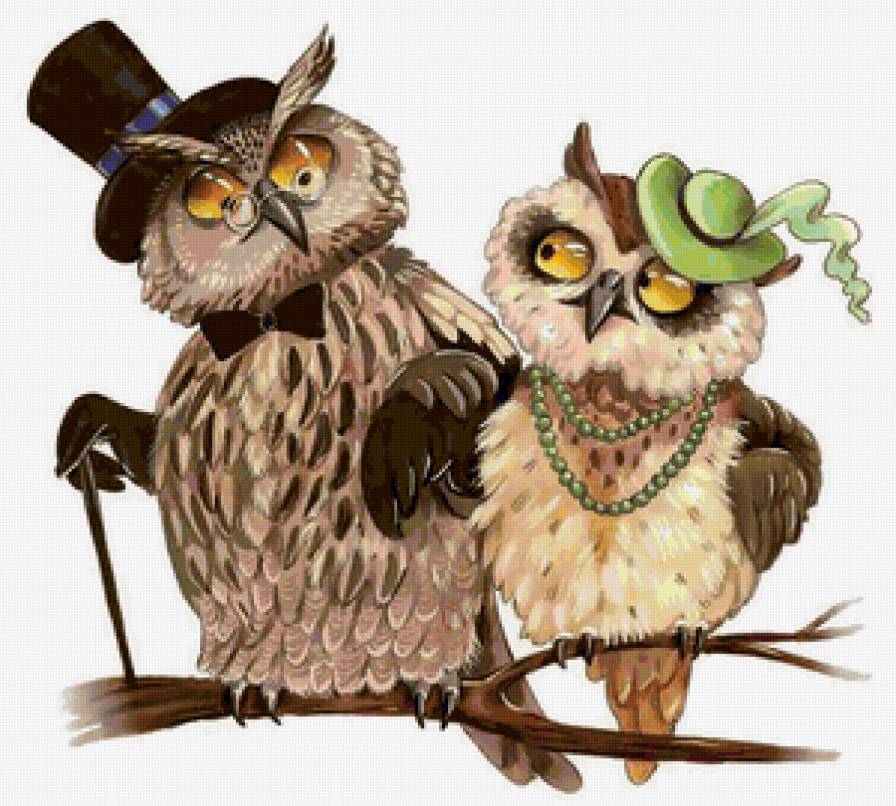 Серия "Детское" - птицы, пара, совы, филины - предпросмотр