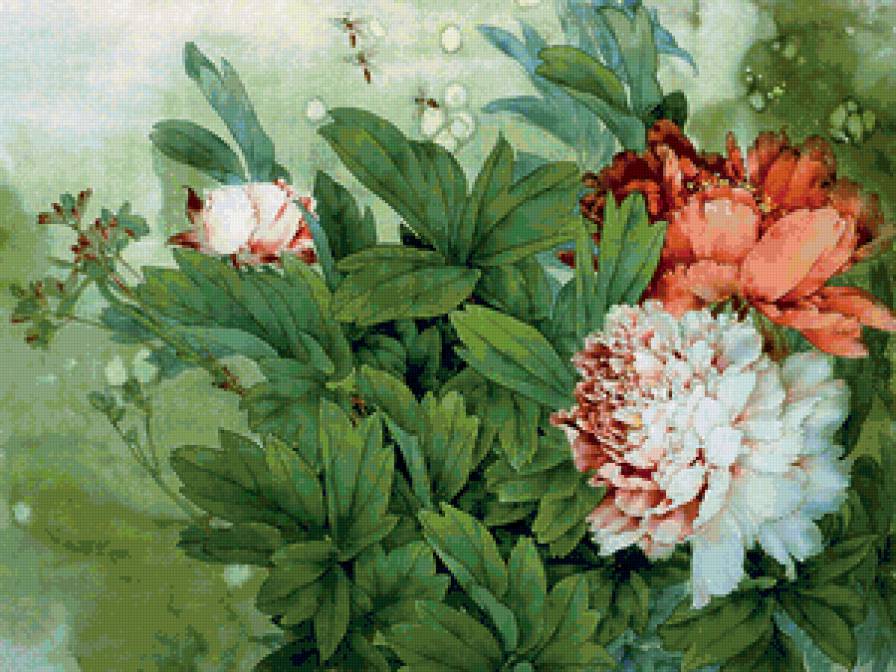 пионы - китай, пионы, живопись, цветы, восток - предпросмотр