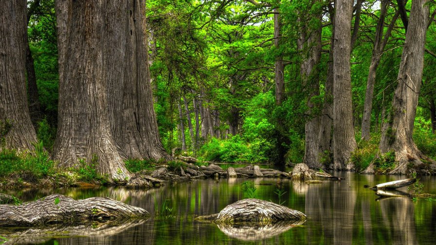 №106755 - природа - оригинал