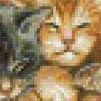 Предпросмотр схемы вышивки «новорожденные котята» (№106781)