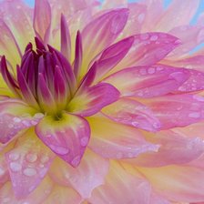 Схема вышивки «№106868»