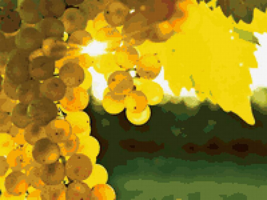 Виноград - виноград, природа - предпросмотр