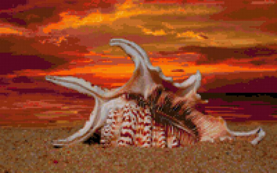 закат на море - ракушка, закат, море - предпросмотр