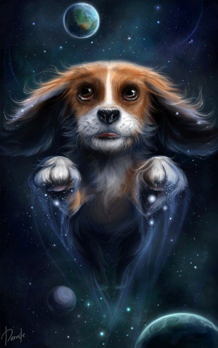 №107090 - оригинал