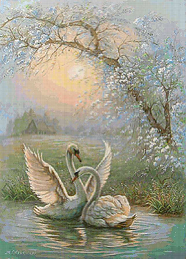 Лебеди - озеро, природа, птицы, лес, лебеди - предпросмотр