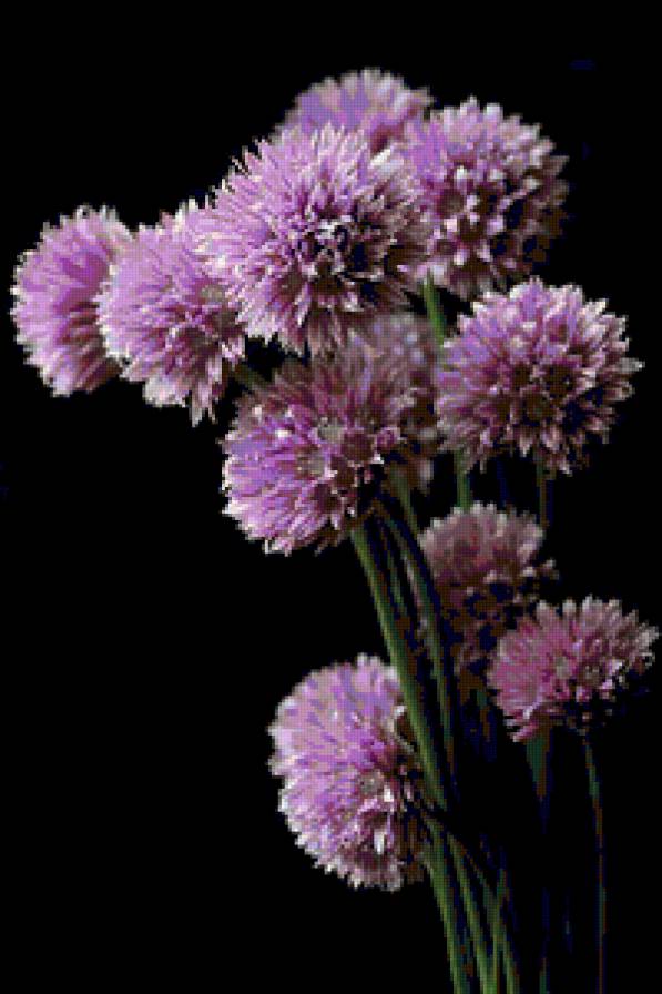 Цветы - цветы, букет - предпросмотр