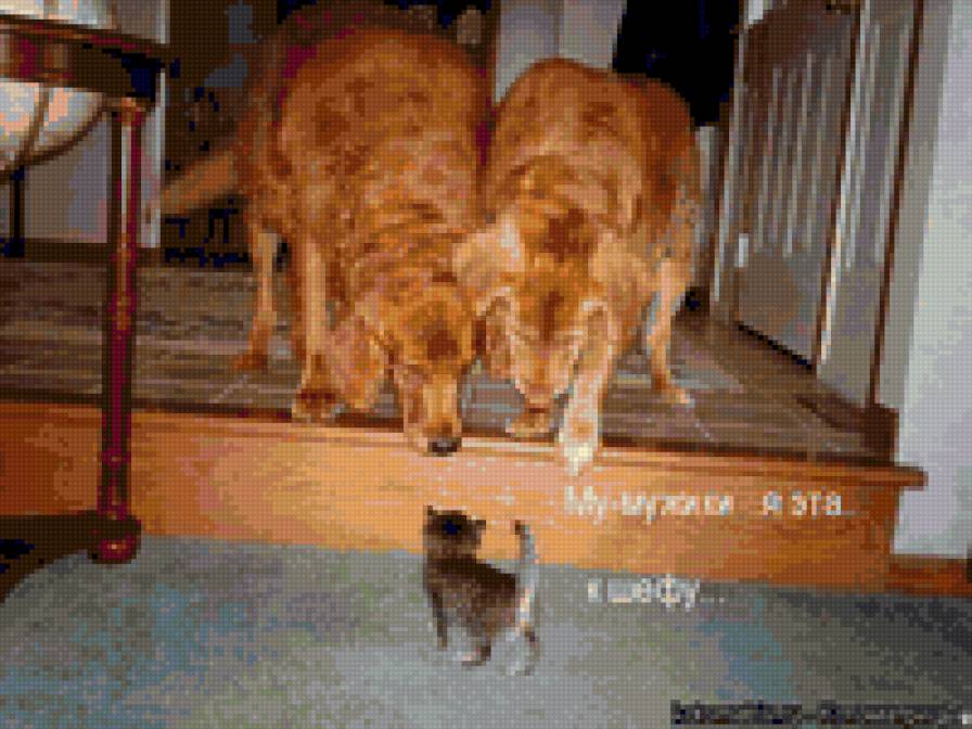 Прикол - юмор - предпросмотр