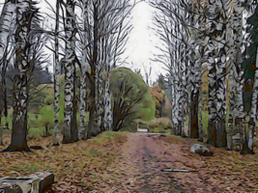 парк - дерево, береза - предпросмотр