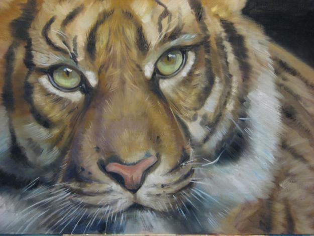 тигровый взгляд - тигр, хищник, животные, кошка, взгляд, глаза - оригинал