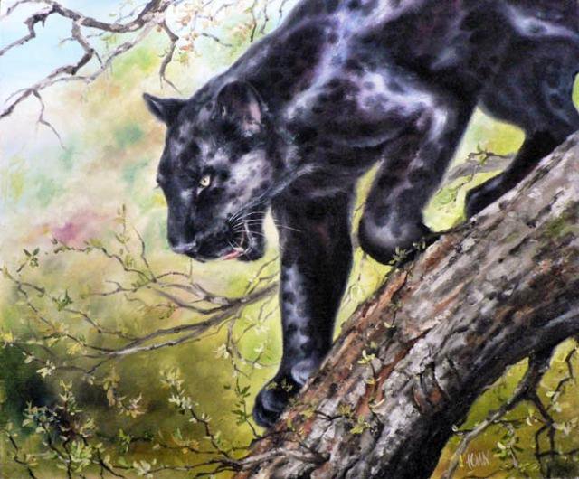 Пантера охотница - природа, животные - оригинал