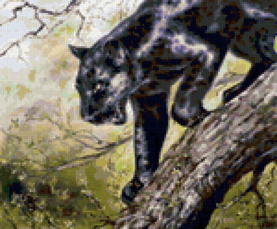 Пантера охотница - животные, природа - предпросмотр