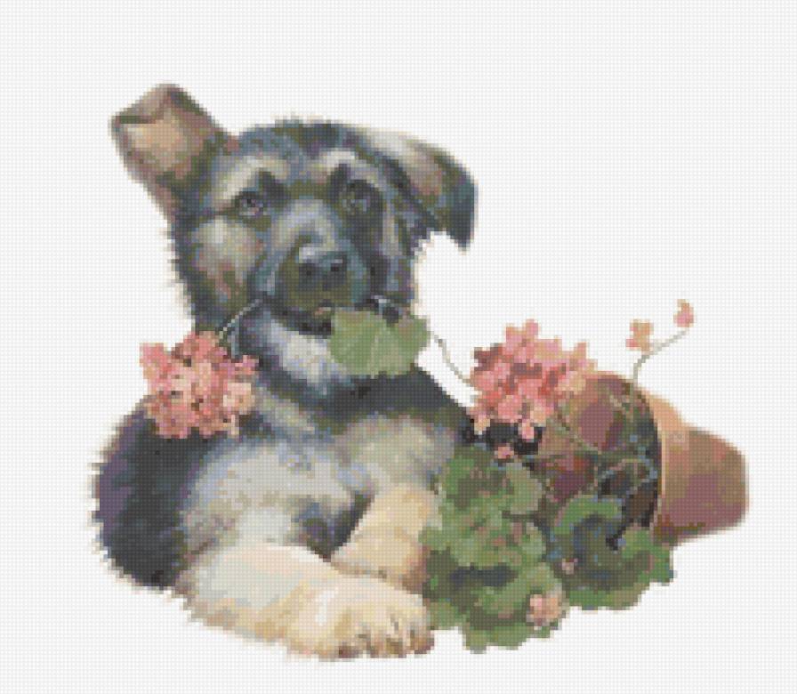 Щенок - цветы, щенок, животные, открытка - предпросмотр