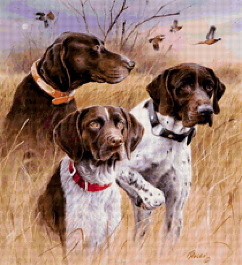 в ожидании - животные - предпросмотр