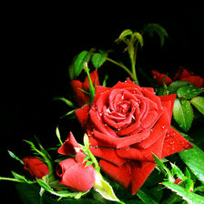 Оригинал схемы вышивки «Красная Роза» (№107967)