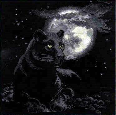 полнолуние - дикие кошки - оригинал