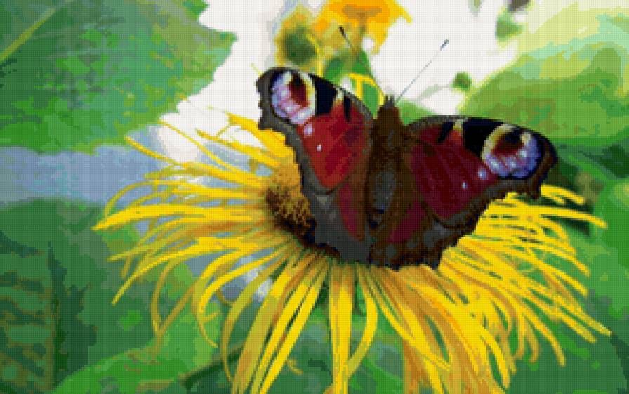 №108046 - цветы - предпросмотр