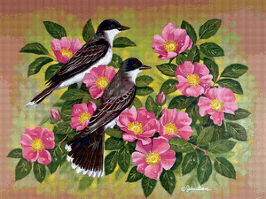 Серия "Птицы" - шиповник, птицы, сороки, букет, цветы - предпросмотр