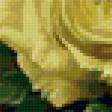 Предпросмотр схемы вышивки «Желтые розы» (№108172)