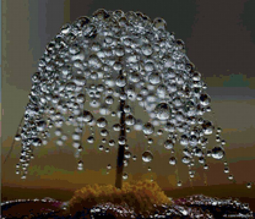 роса на паутинке - предпросмотр